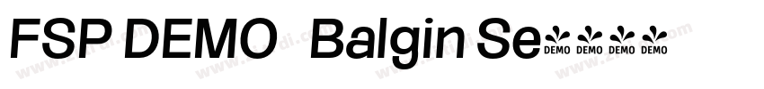 FSP DEMO   Balgin Se字体转换